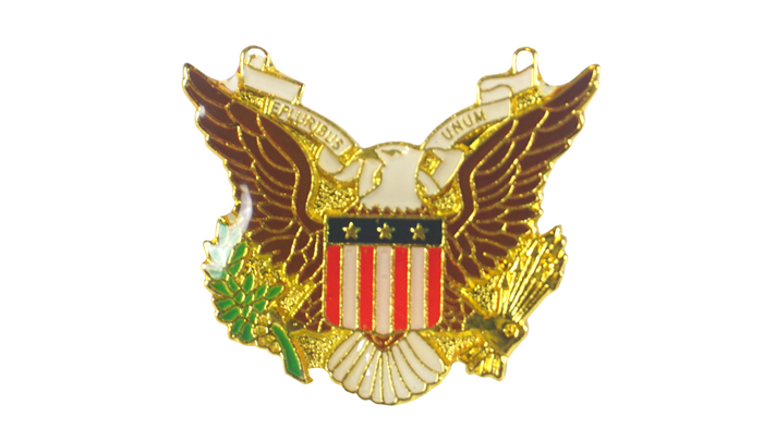 American Flag Eagle Lapel Pin