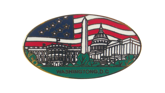 D.C. Panorama Flag Design Lapel Pin