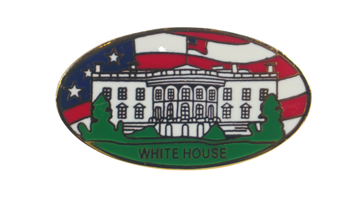 White House Flag Design Lapel Pin