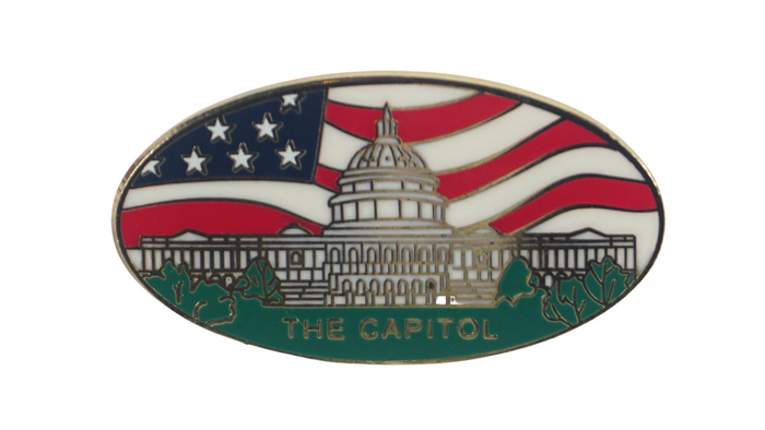 U.S. Capitol Flag Design Lapel Pin