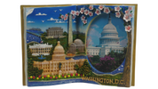 US Capitol Picture Frame