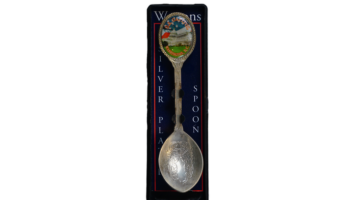 Chrome Panorama Collectible Spoon