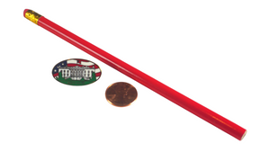 White House Flag Design Lapel Pin