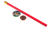 Lapel Pin Panorama