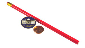 White House Lapel Pin