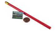Lapel Pin White House