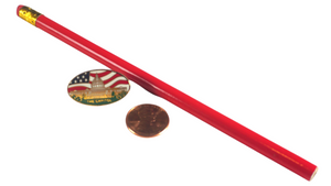 U.S. Capitol Flag Design Lapel Pin