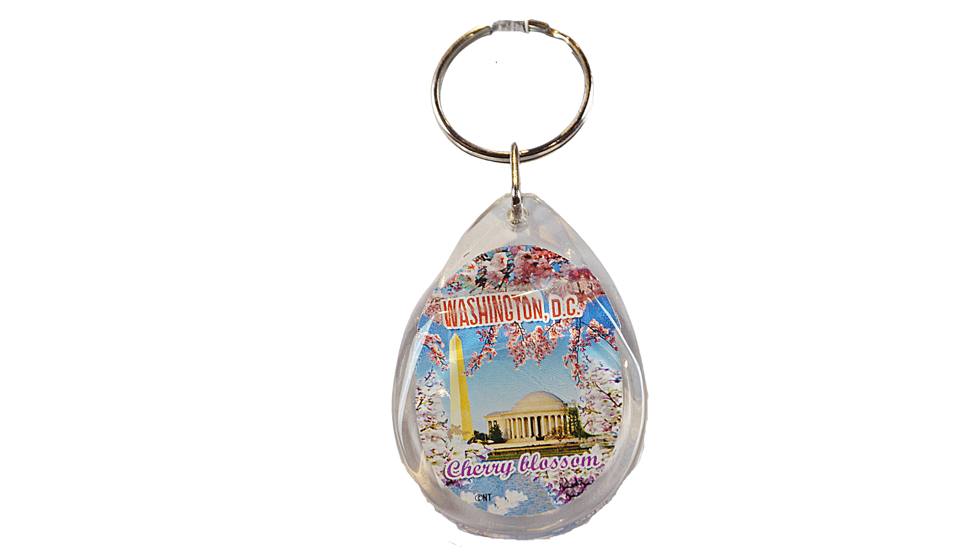 Cherry Blossom Lucite keychain