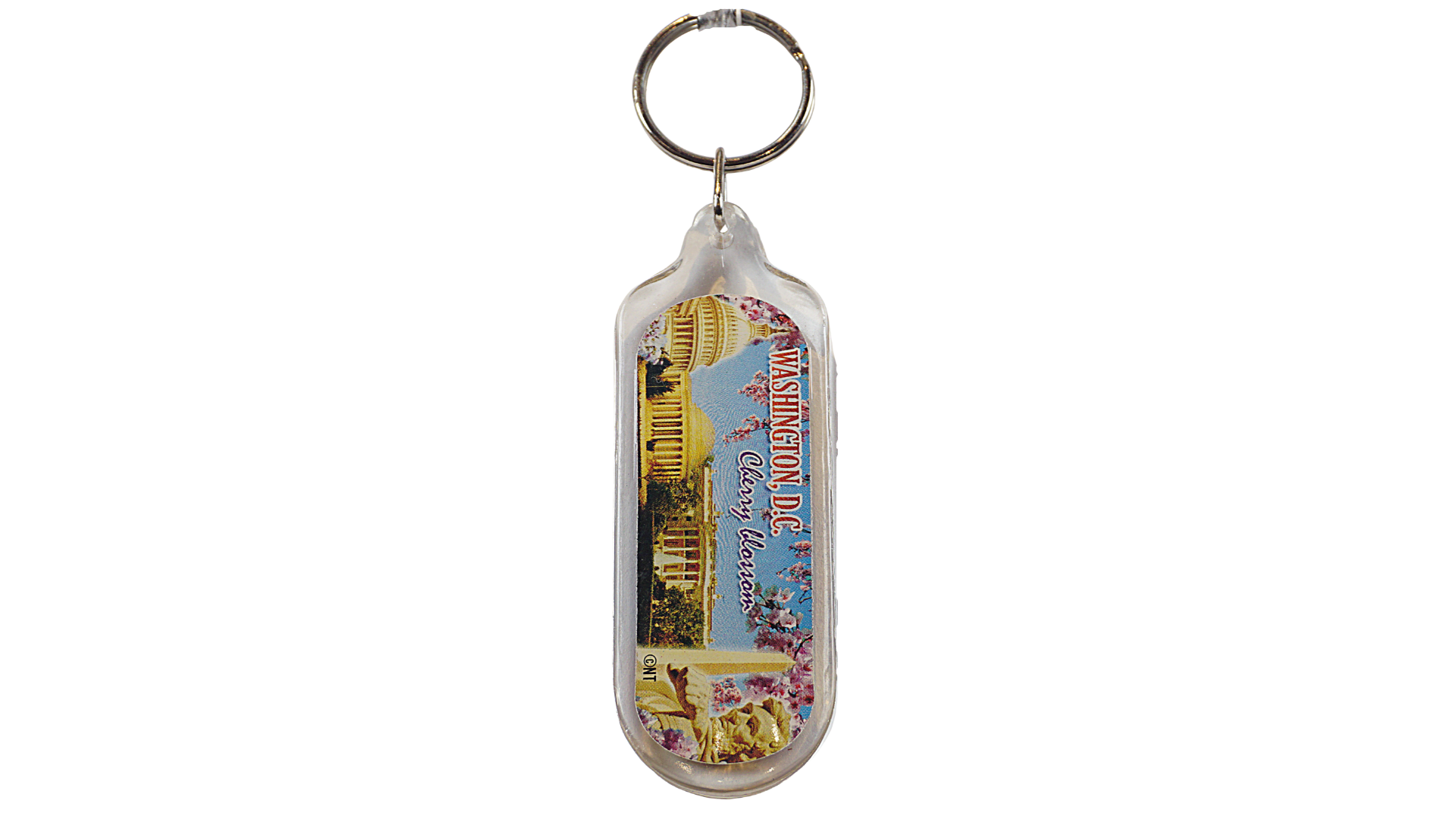 Washington D.C Cherry Blossom Lucite Keychain