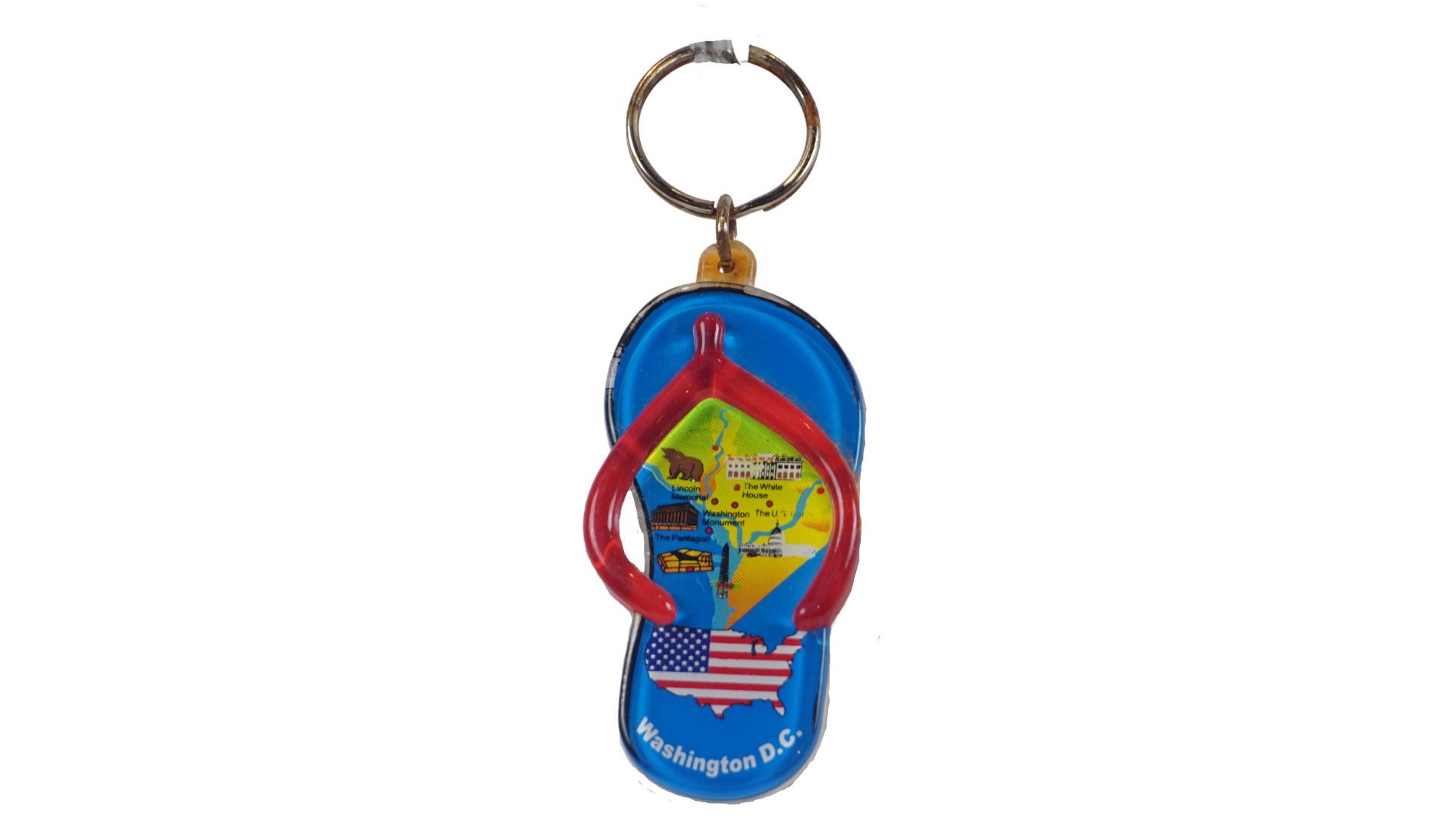 Washington D.C Panorama Lucite Key Chain