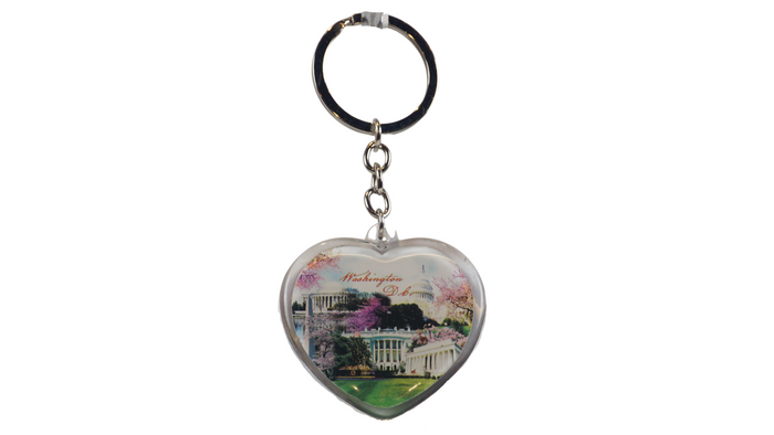 Cherry Blossom Washington D.C Panorama Lucite Keychain