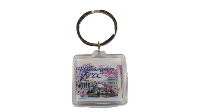 Washington D.C Cherry Blossom Lucite Keychain