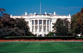 WHITEHOUSE.jpg